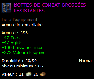 Bottes de combat brossées résistantes