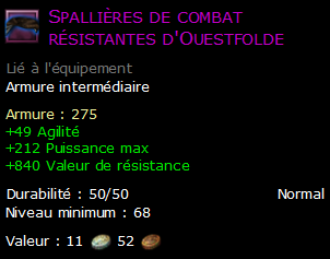 Spallières de combat résistantes d'Ouestfolde