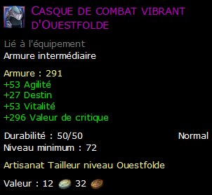 Casque de combat vibrant d'Ouestfolde