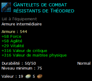 Gantelets de combat résistants de Théodred