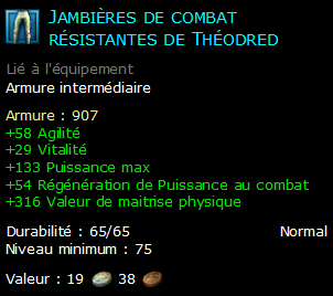 Jambières de combat résistantes de Théodred