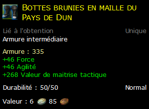 Bottes brunies en maille du Pays de Dun