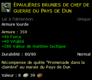 Epaulières brunies de chef de guerre du Pays de Dun