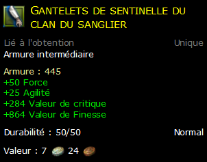 Gantelets de sentinelle du clan du sanglier