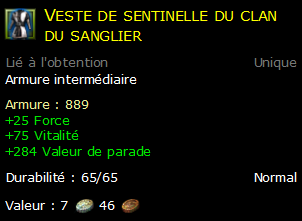 Veste de sentinelle du clan du sanglier