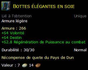 Bottes élégantes en soie