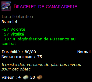 Bracelet de camaraderie