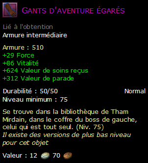 Gants d'aventure égarés