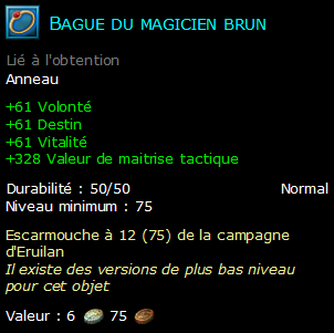 Bague du magicien brun