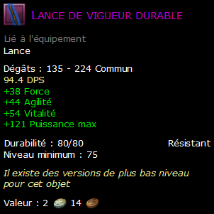 Lance de vigueur durable