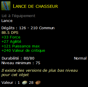 Lance de chasseur