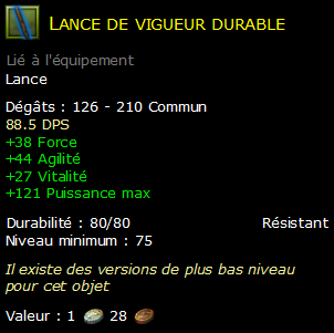 Lance de vigueur durable