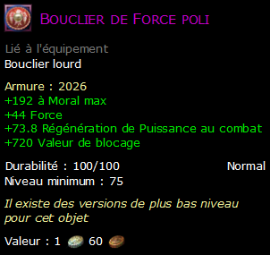 Bouclier de Force poli