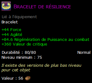 Bracelet de résilience