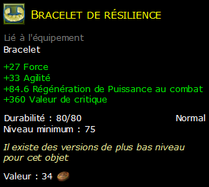 Bracelet de résilience