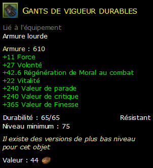 Gants de vigueur durables