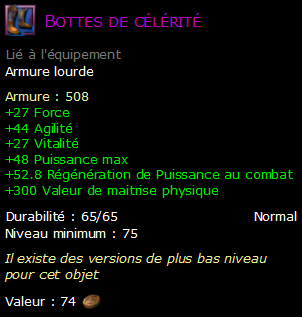 Bottes de célérité