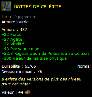 Bottes de célérité