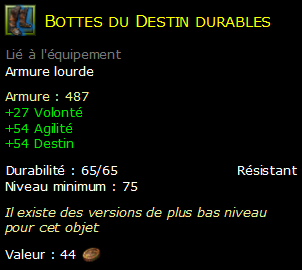 Bottes du Destin durables