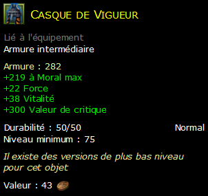 Casque de Vigueur