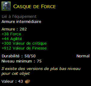 Casque de Force