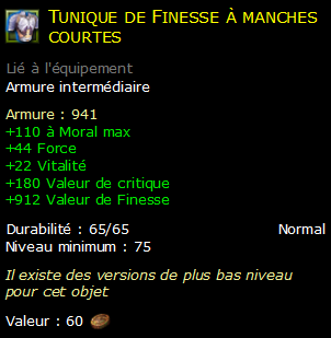 Tunique de Finesse à manches courtes