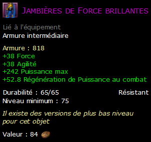 Jambières de Force brillantes