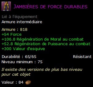 Jambières de force durables