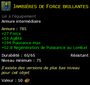 Jambières de Force brillantes