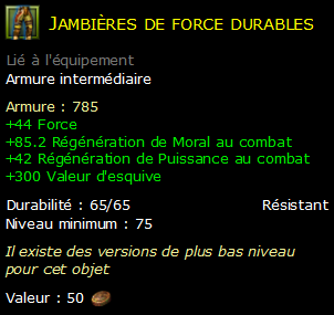 Jambières de force durables