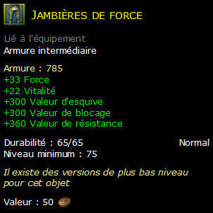 Jambières de force