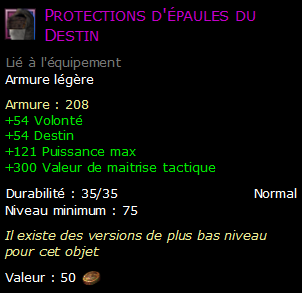 Protections d'épaules du Destin