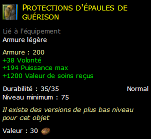 Protections d'épaules de guérison