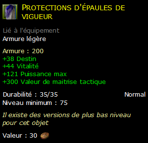 Protections d'épaules de vigueur