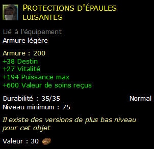 Protections d'épaules luisantes