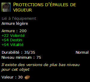 Protections d'épaules de vigueur