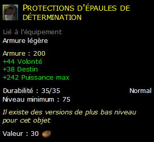 Protections d'épaules de détermination