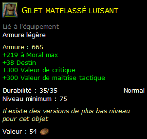 Gilet matelassé luisant