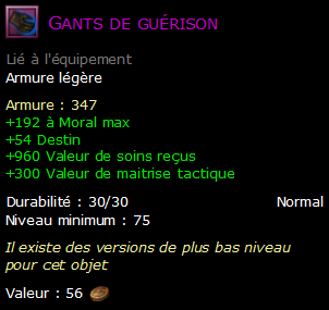 Gants de guérison