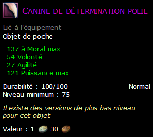 Canine de détermination polie