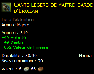 Gants légers de maître-garde d'Eruilan