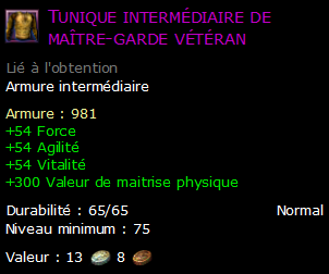 Tunique intermédiaire de maître-garde vétéran