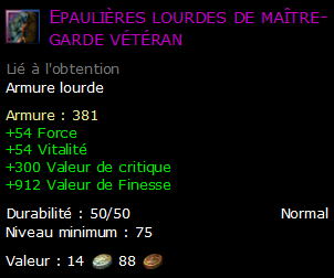 Epaulières lourdes de maître-garde vétéran