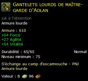 Gantelets lourds de maître-garde d'Adlan