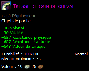 Tresse de crin de cheval