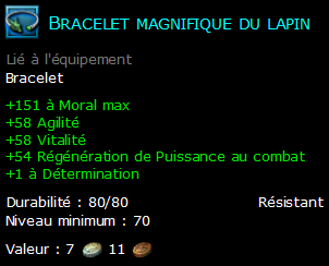 Bracelet magnifique du lapin