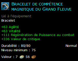 Bracelet de compétence magnifique du Grand Fleuve