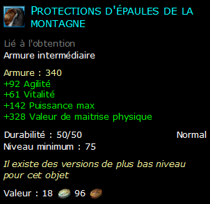 Protections d'épaules de la montagne