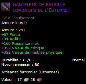 Gantelets de bataille combatifs de l'Estemnet