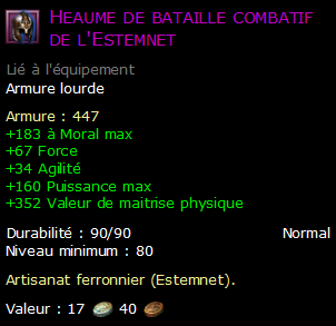 Heaume de bataille combatif de l'Estemnet